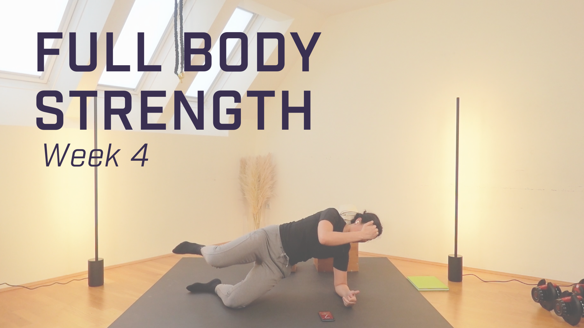 Full Body Strength class 4
