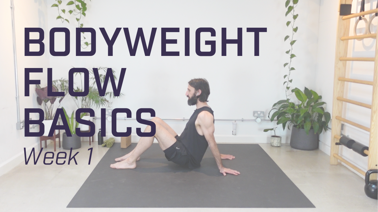 Week 1 - Base Positions, Basic Transitions, Loading & Troubleshooting Positions