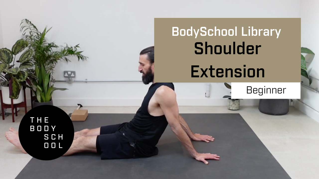 Beginner Shoulder Extension