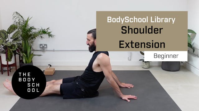 Beginner Shoulder Extension