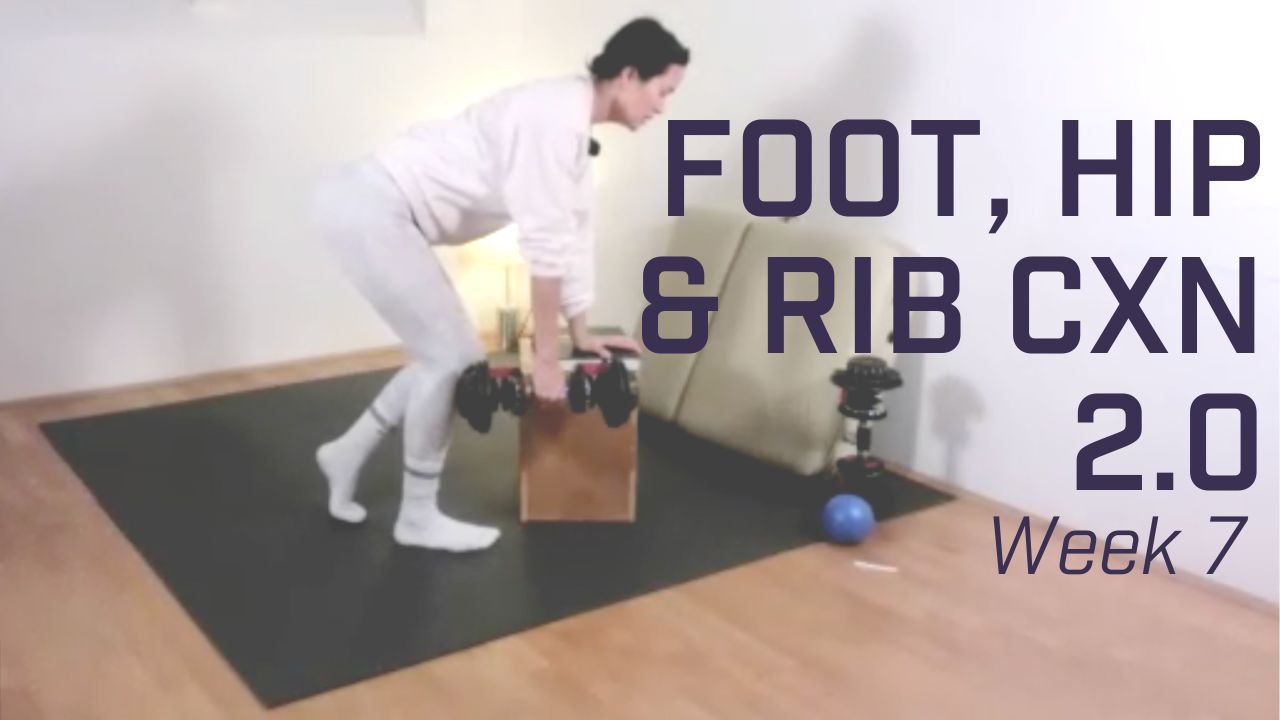 Foot, Hip & Rib CXN 2.0 - Week 7