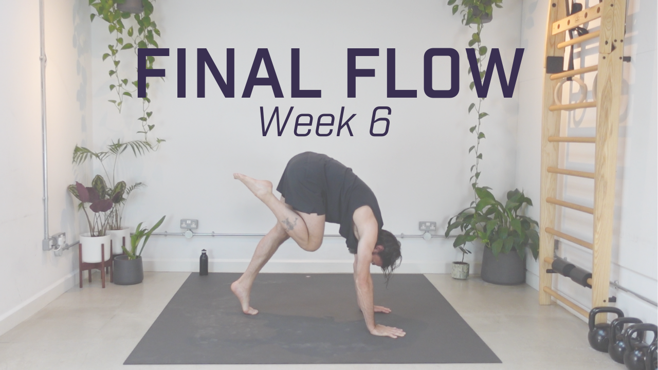 Week 6 - Final Flow