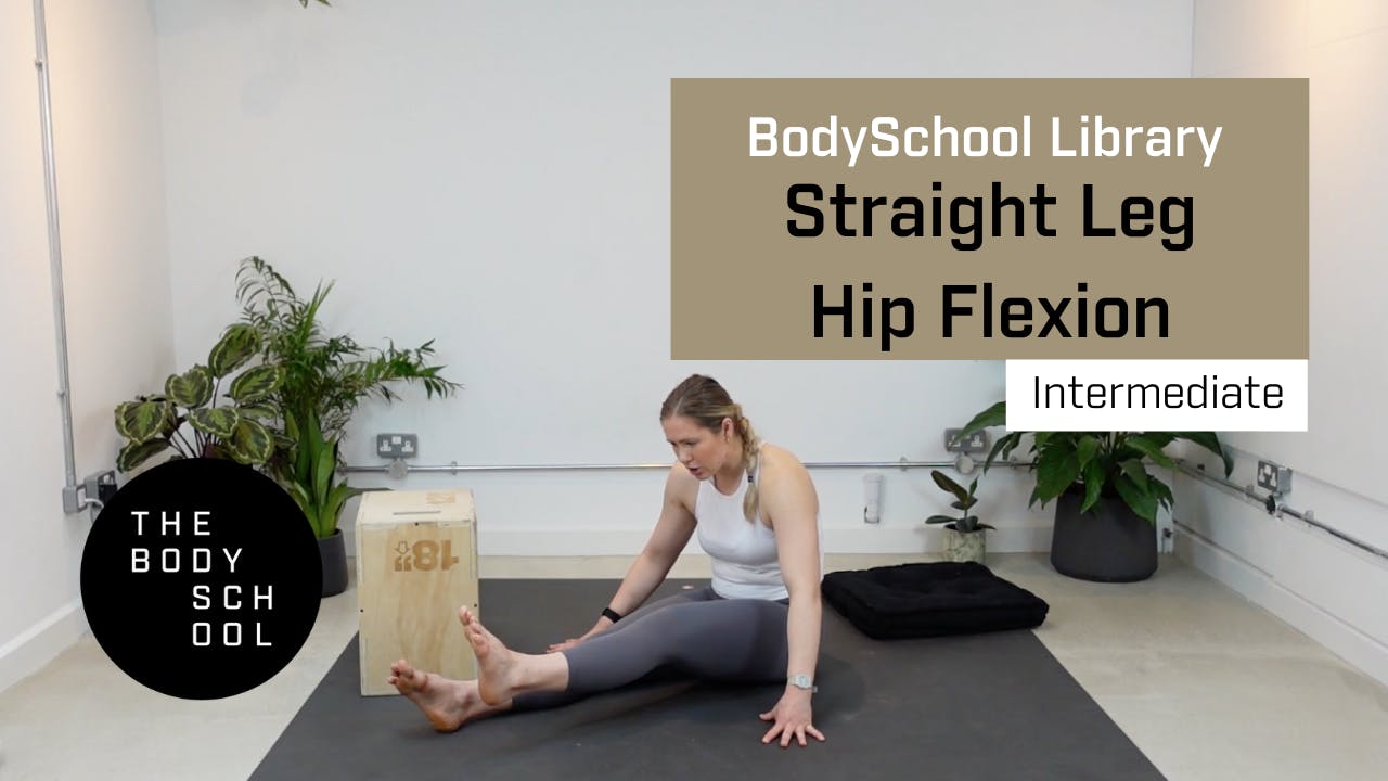 Intermediate Straight Leg Hip Flexion - Flexion - The Body School