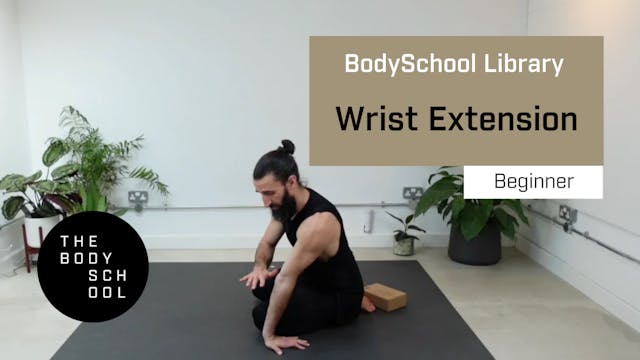 Beginner Wrist Extension
