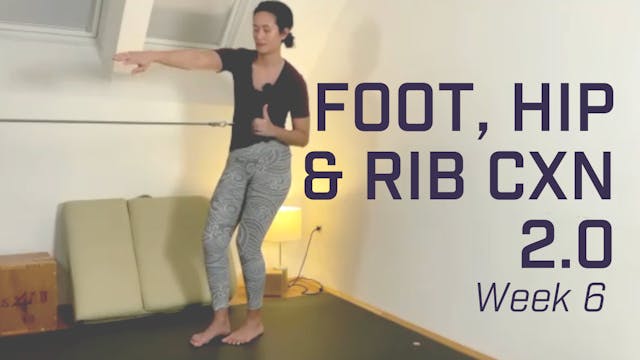 Foot, Hip & Rib CXN 2.0 - Week 6