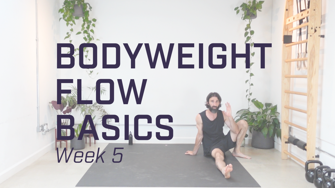 Week 5 - Advanced Transitions & Intro to Jumps