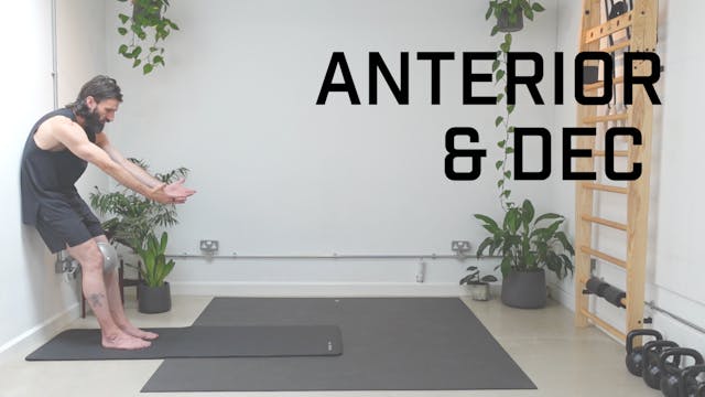 MM: Anterior & Dec
