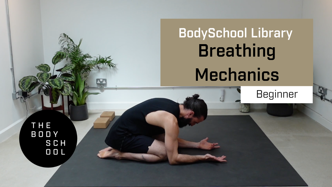 Beginner Breathing Mechanics