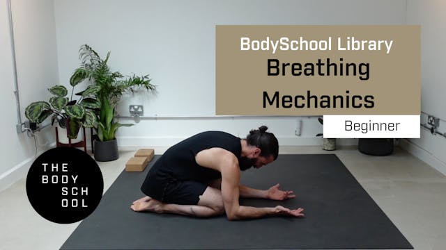 Beginner Breathing Mechanics