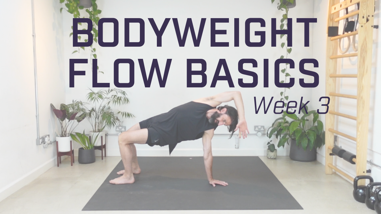 Week 3 - Intro to Kicks & Locomotion Continued