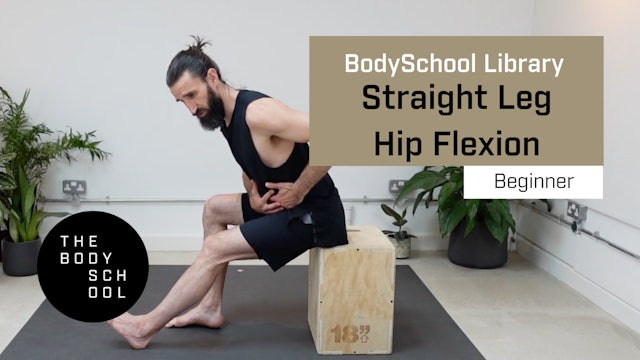 Beginner Straight Leg Hip Flexion
