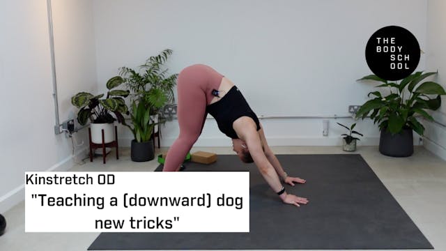 Teaching a (downward) dog new tricks