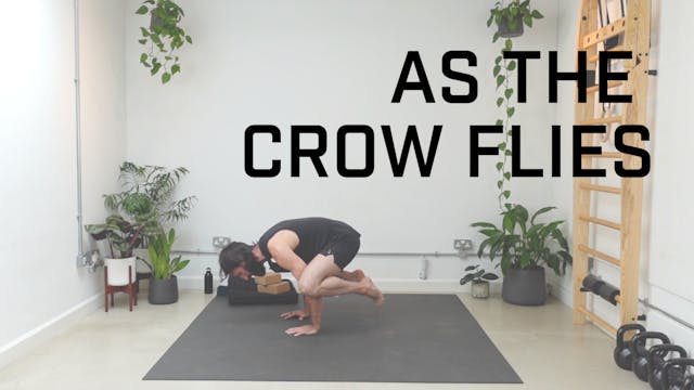 PLUS: As The Crow Flies