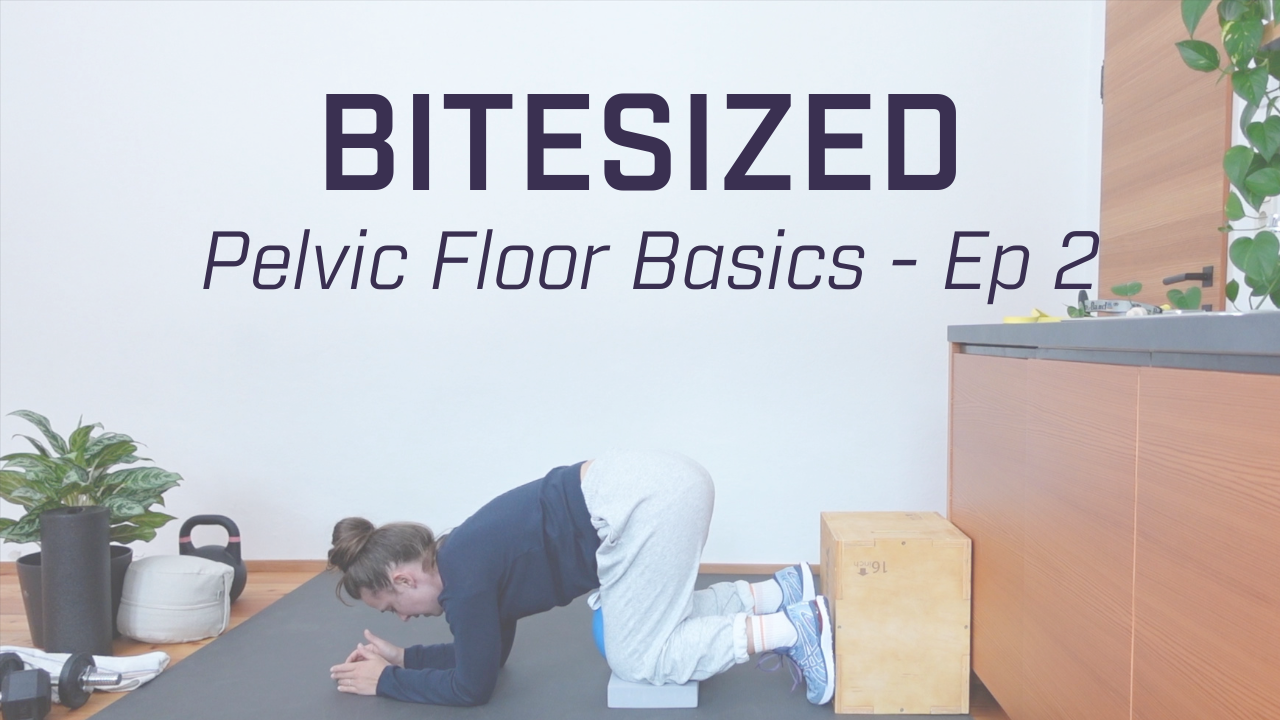 Bitesized Basics - Pelvic Floor Ep. 2