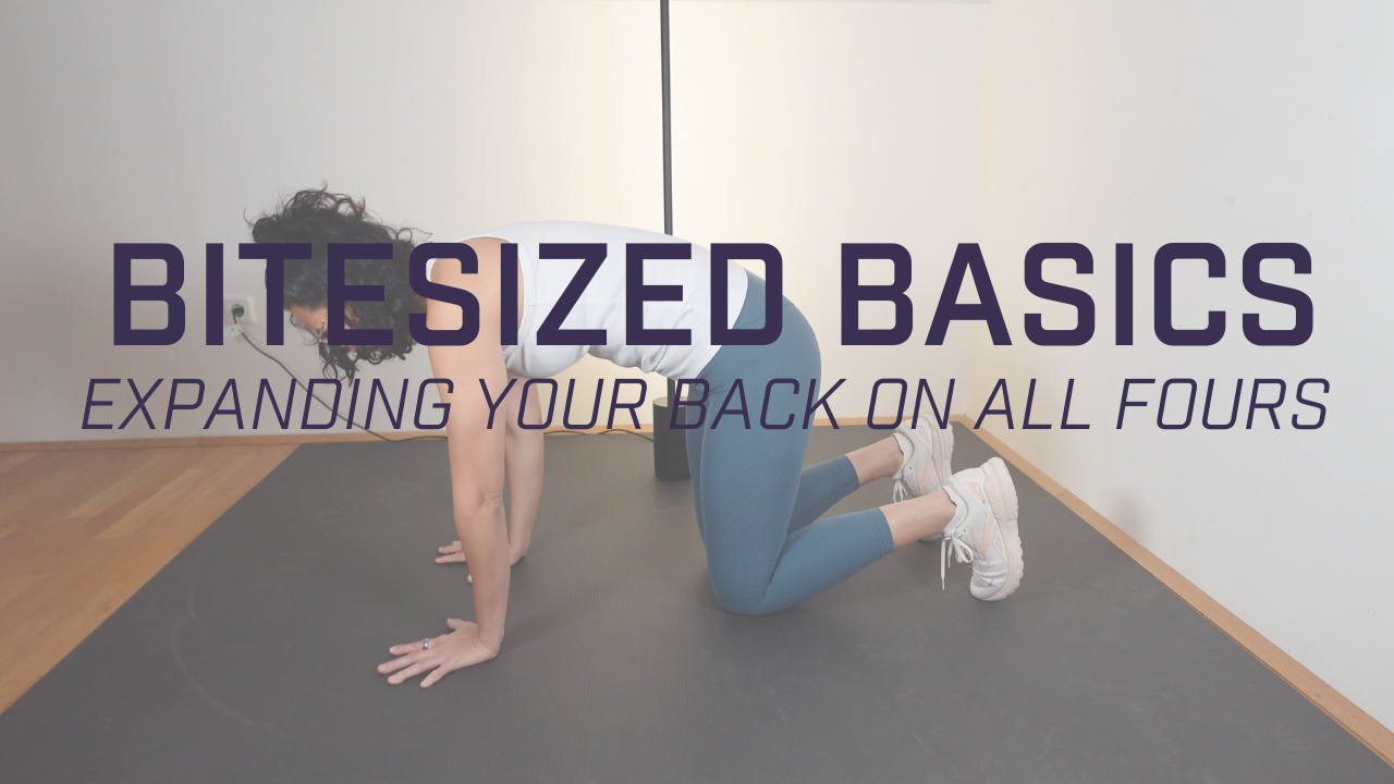 Bitesized Basics - Expanding your back on all fours