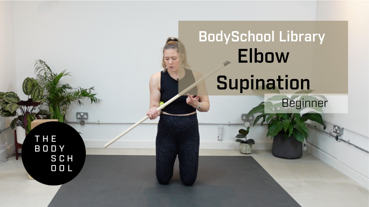 Beginner Elbow Supination
