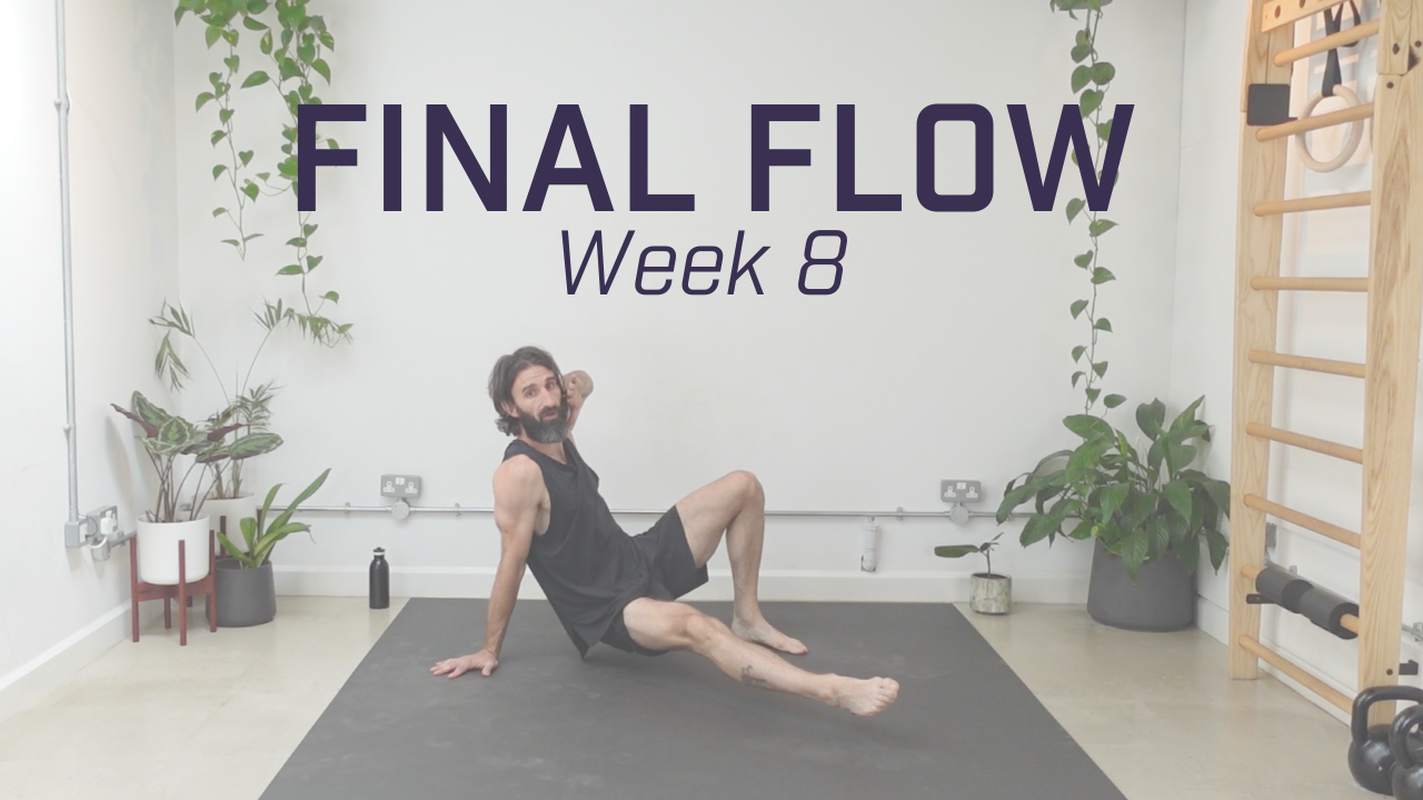 Week 8 - Final Flow