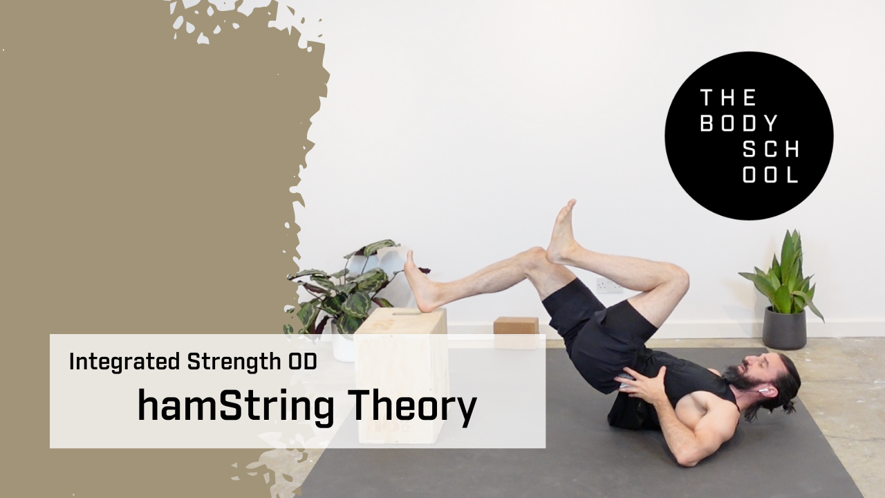 hamString Theory (3rd August)