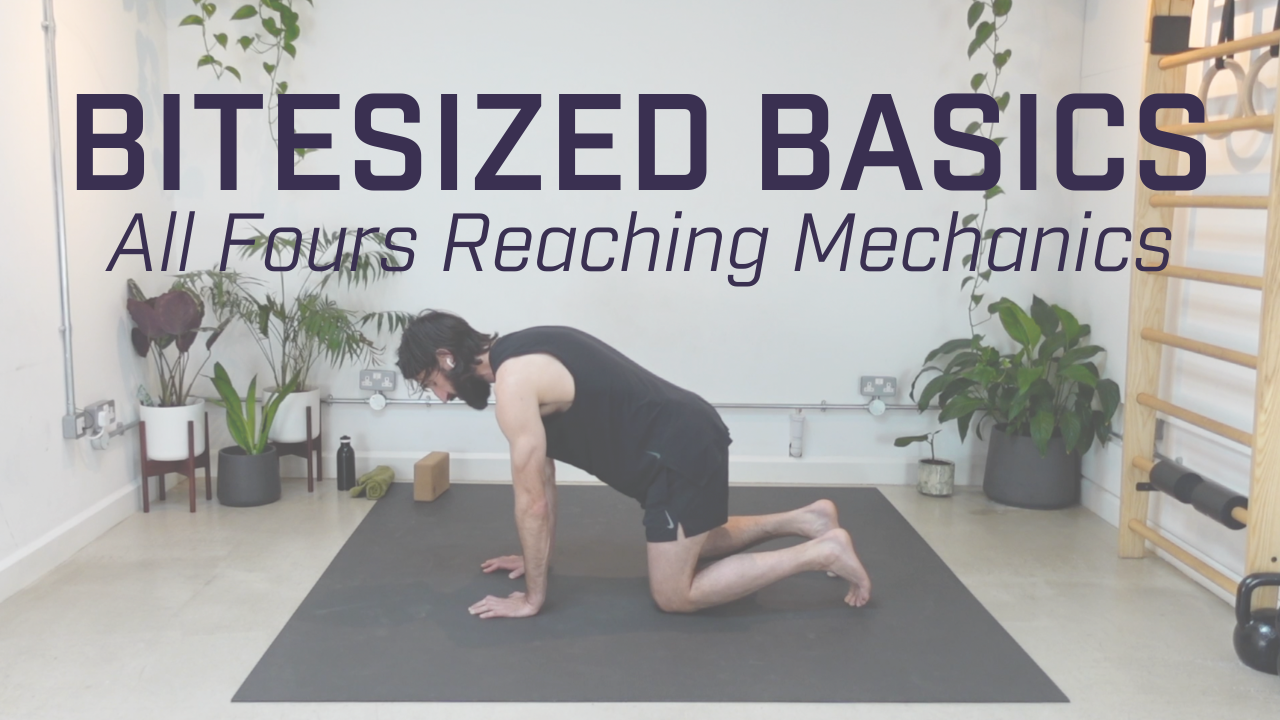 Bitesized Basics - All Fours Reaching Mechanics 