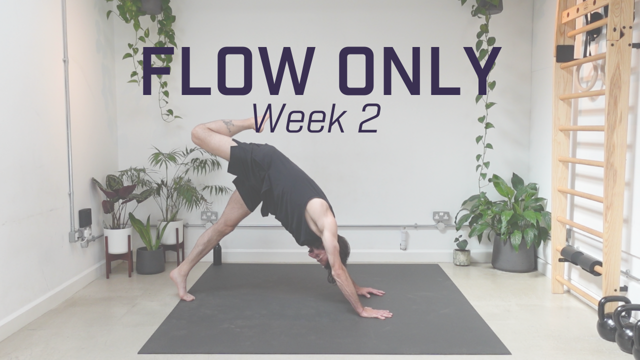 Week 2 - Final Flow