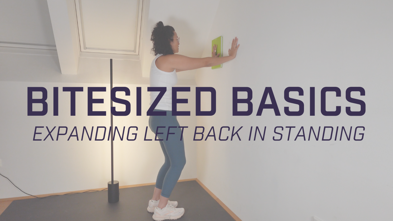 Bitesized Basics - Left Back Expansion in Standing