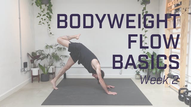 Week 2 - Form Stretches & Intro to Lo...