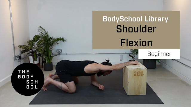Beginner Shoulder Flexion