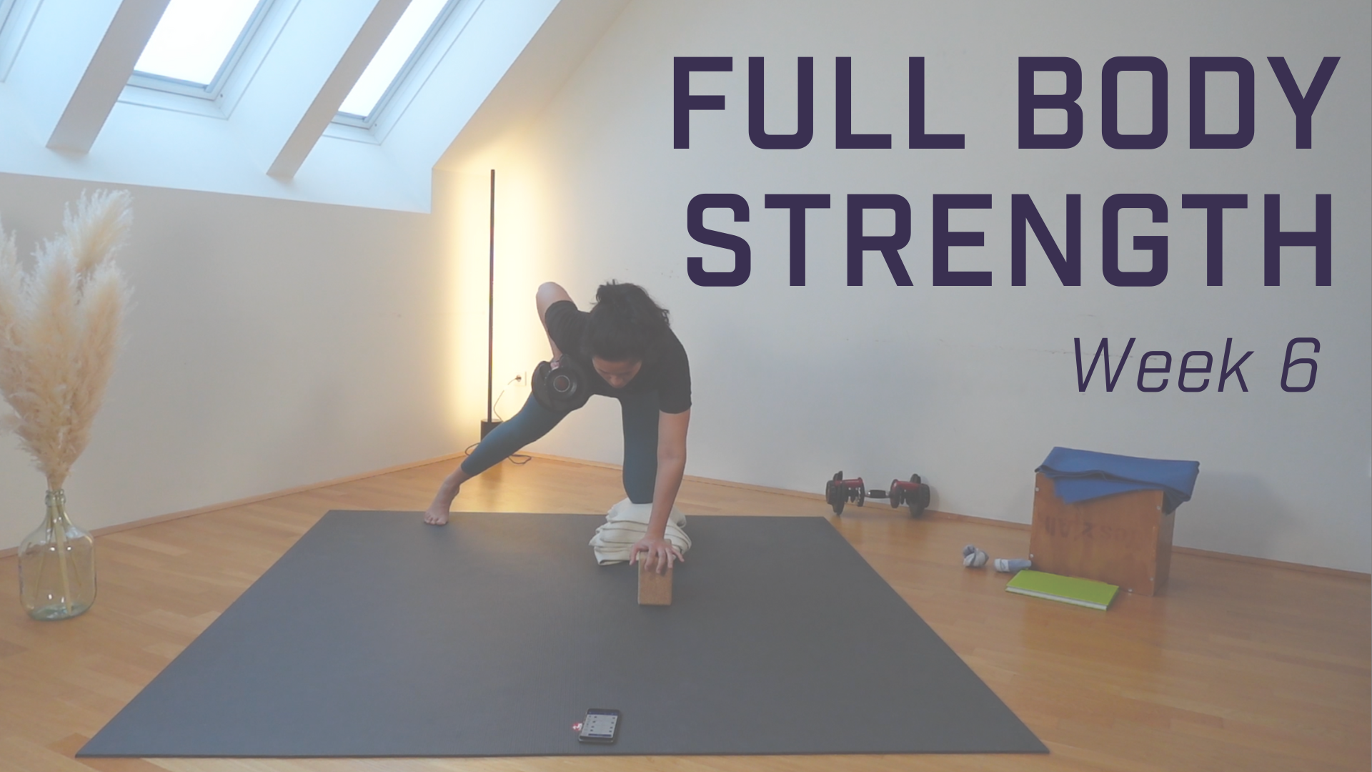 Full Body Strength - Class 6