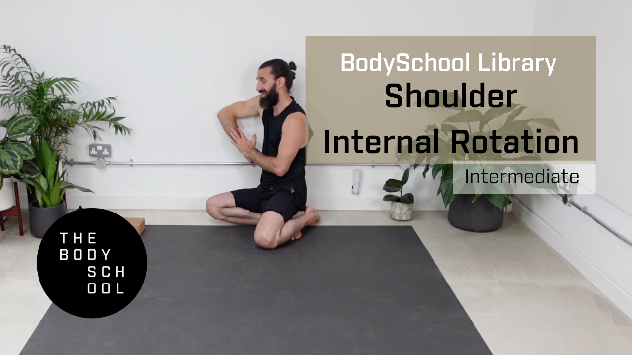 Intermediate Shoulder Internal Rotation