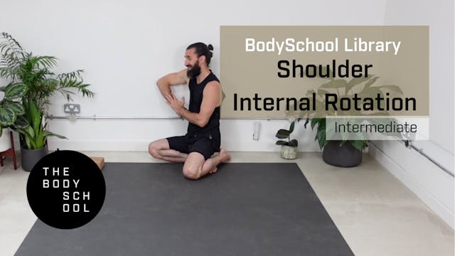 Intermediate Shoulder Internal Rotation