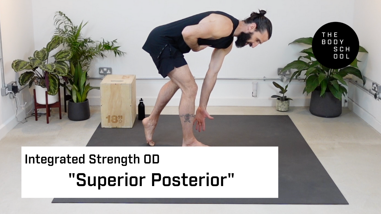 Superior Posterior (11th May)