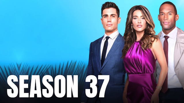 Season 37
