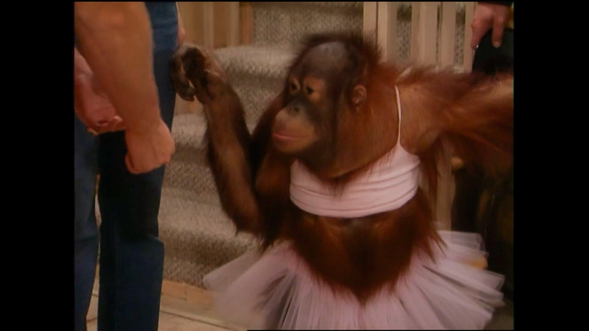 S18 E86