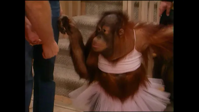 S18 E86