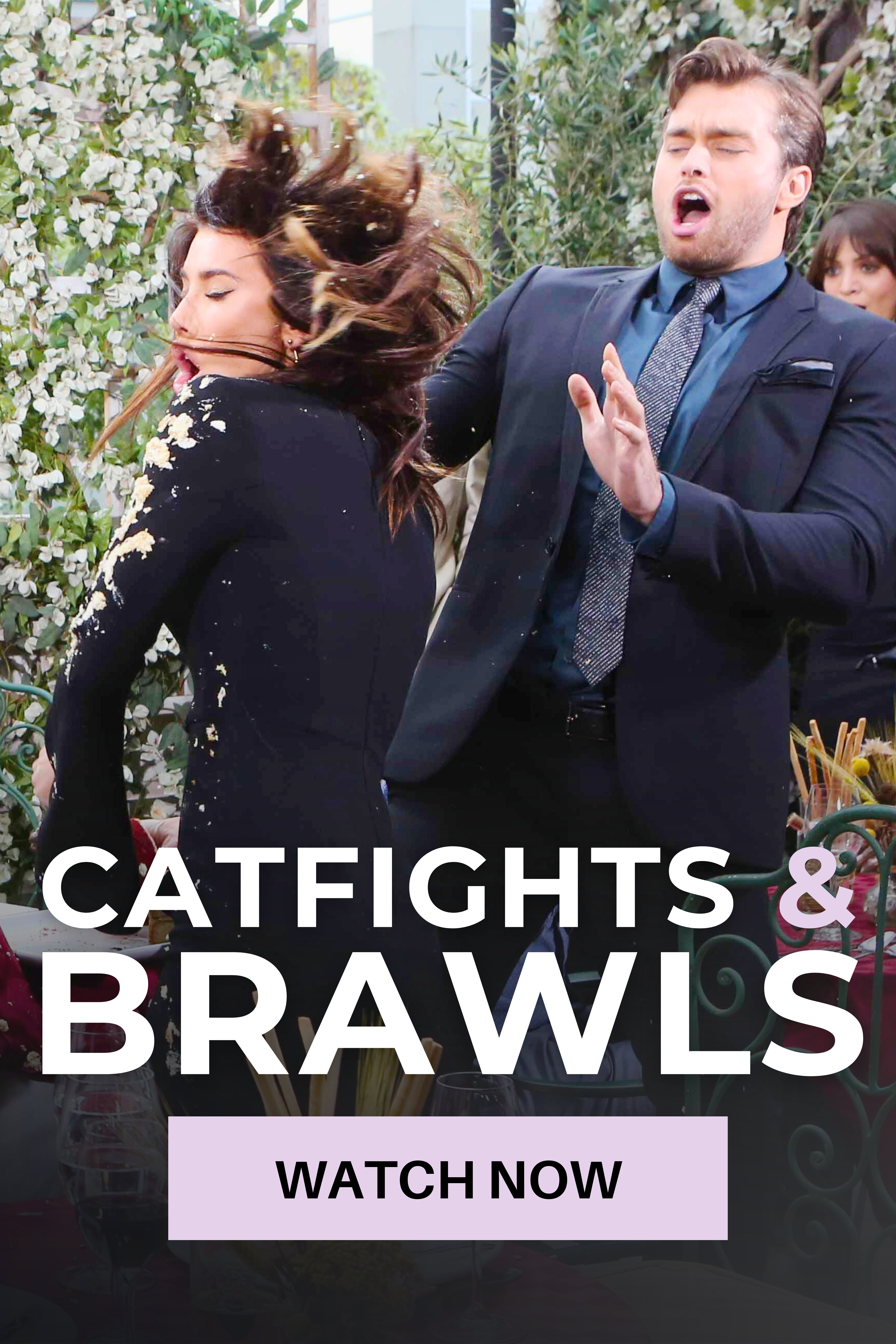 Catfights & Brawls