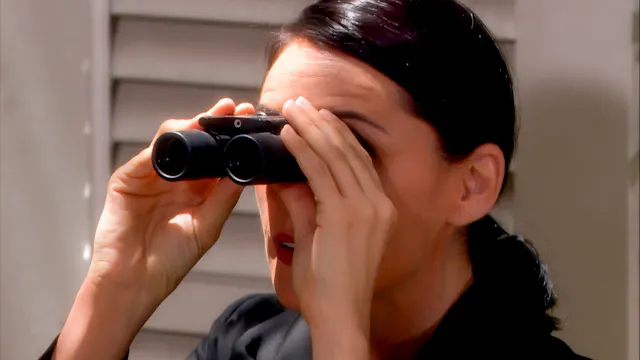 S27 E225