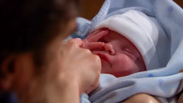 S29 E120 (FR)
