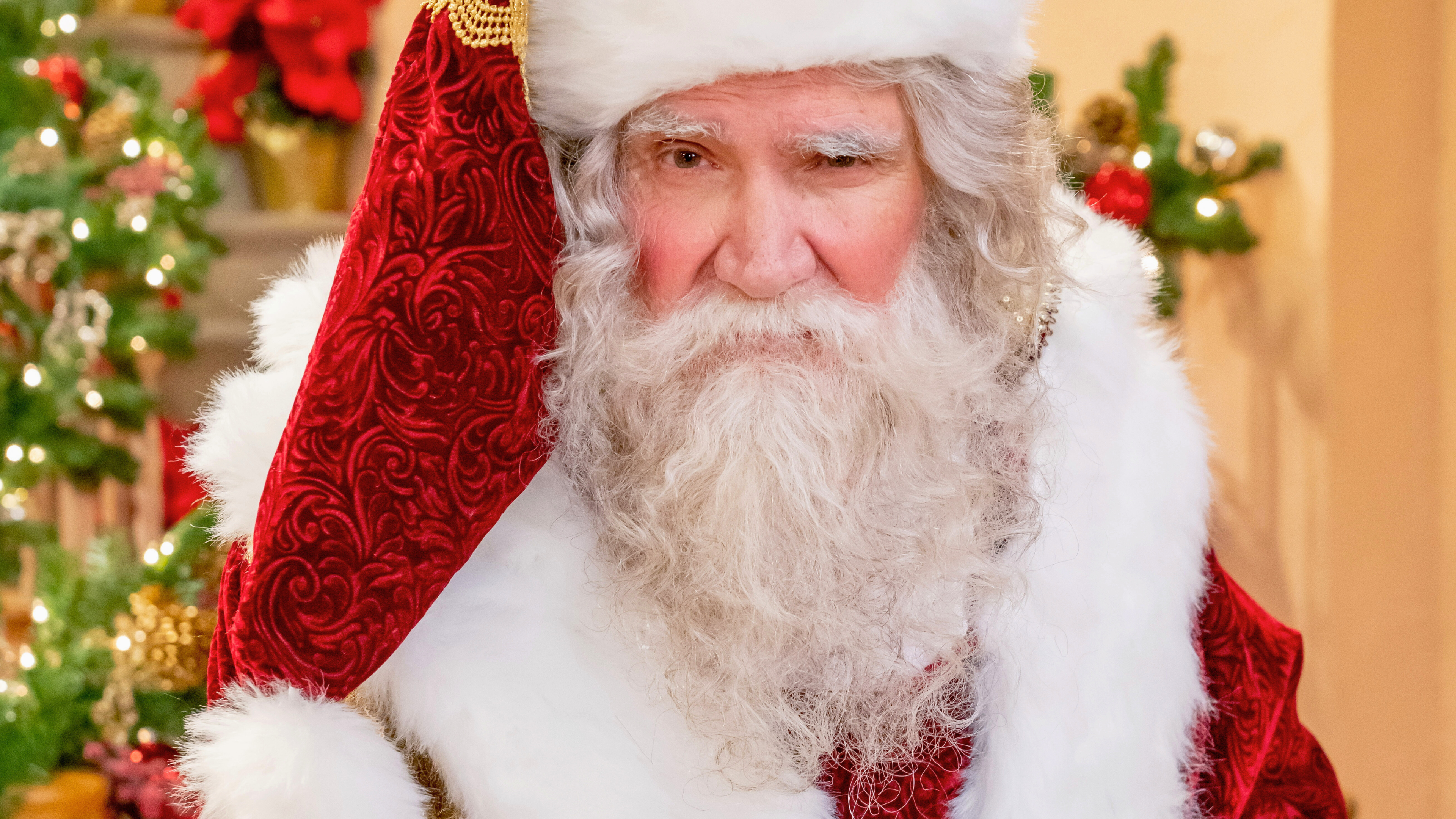 Christmas & Holiday Season