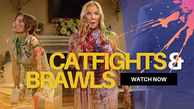 Catfights & Brawls