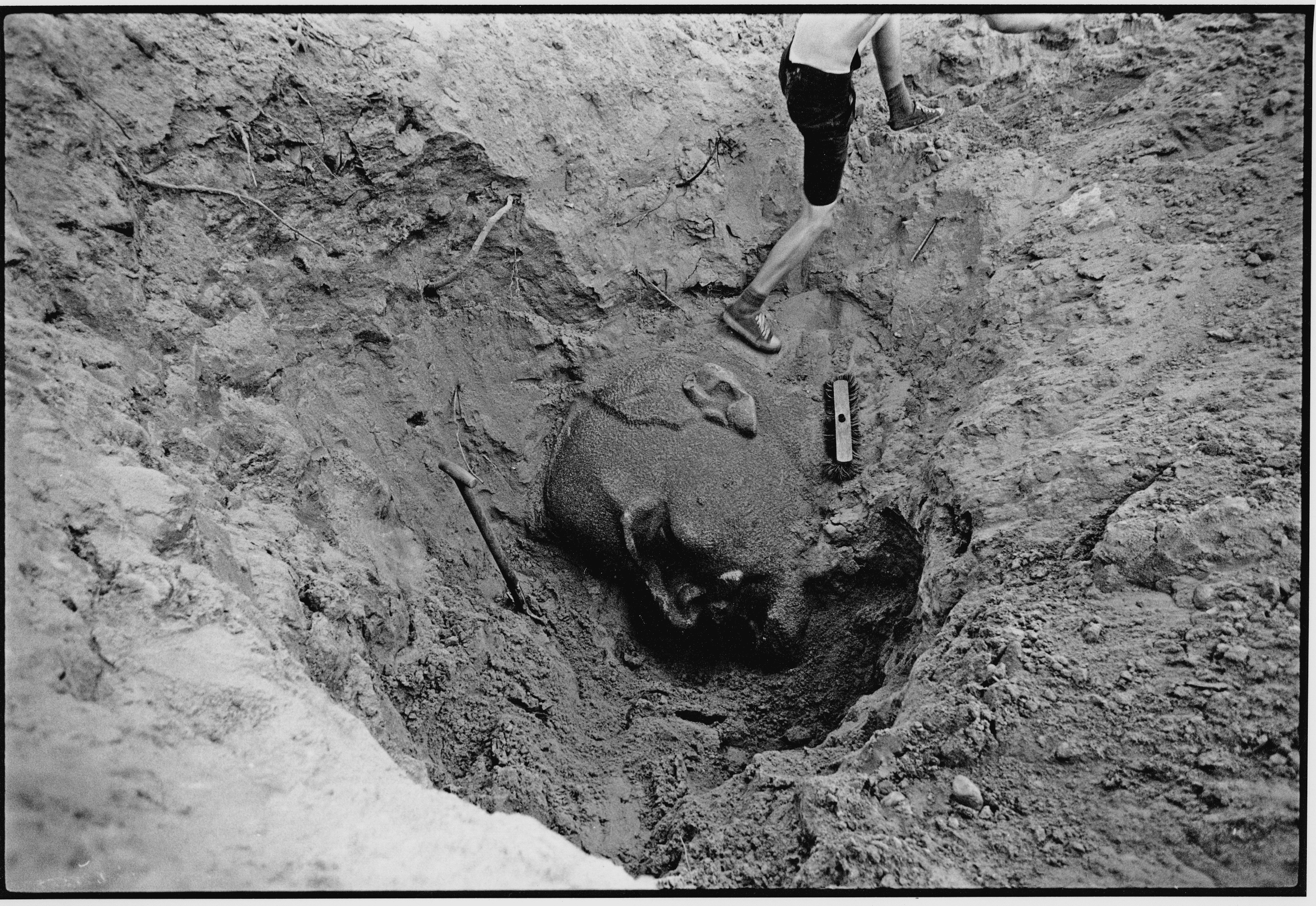 Das Buch der Lenins - dt. Fassung