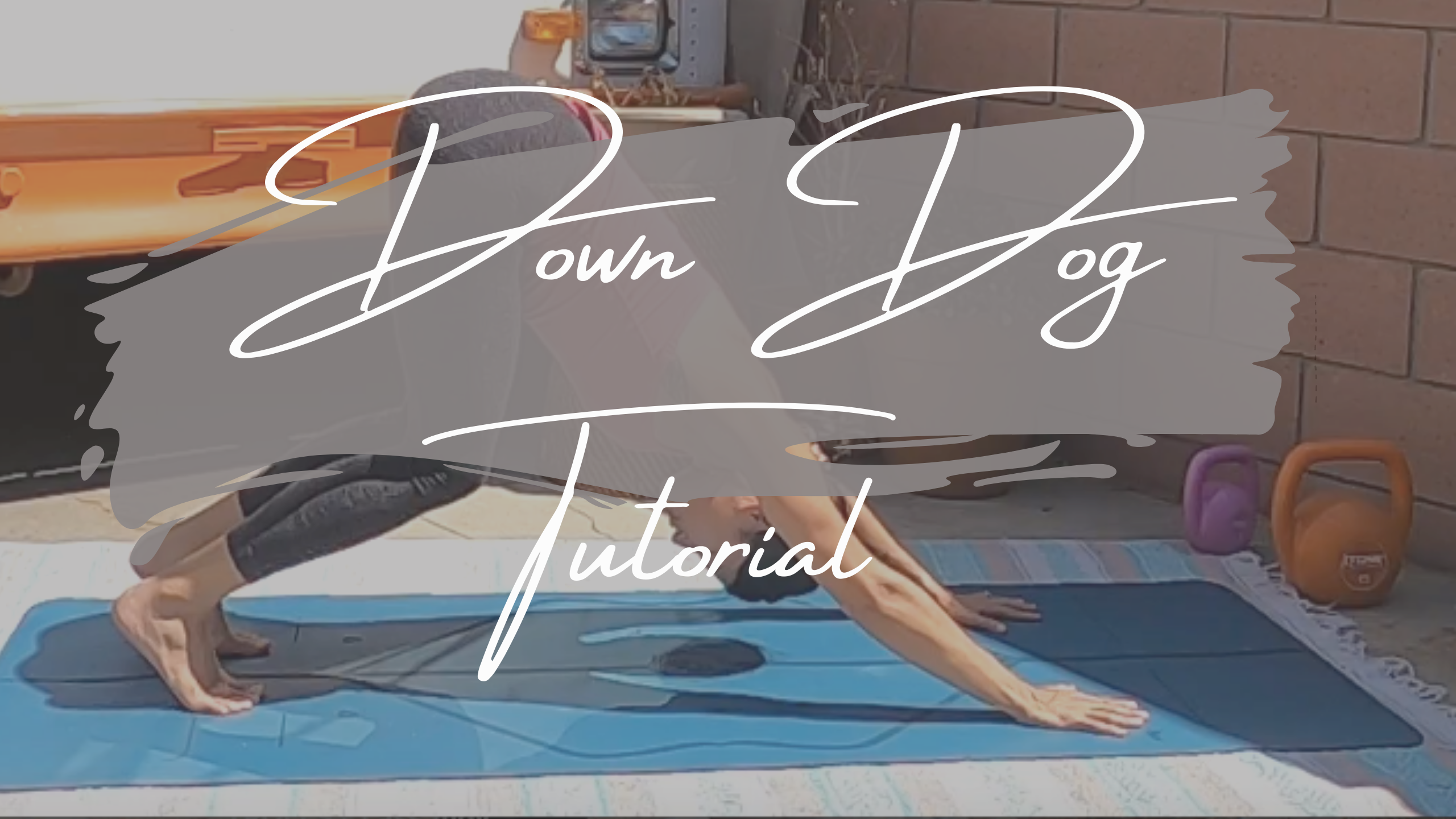 Down Dog Tutorial