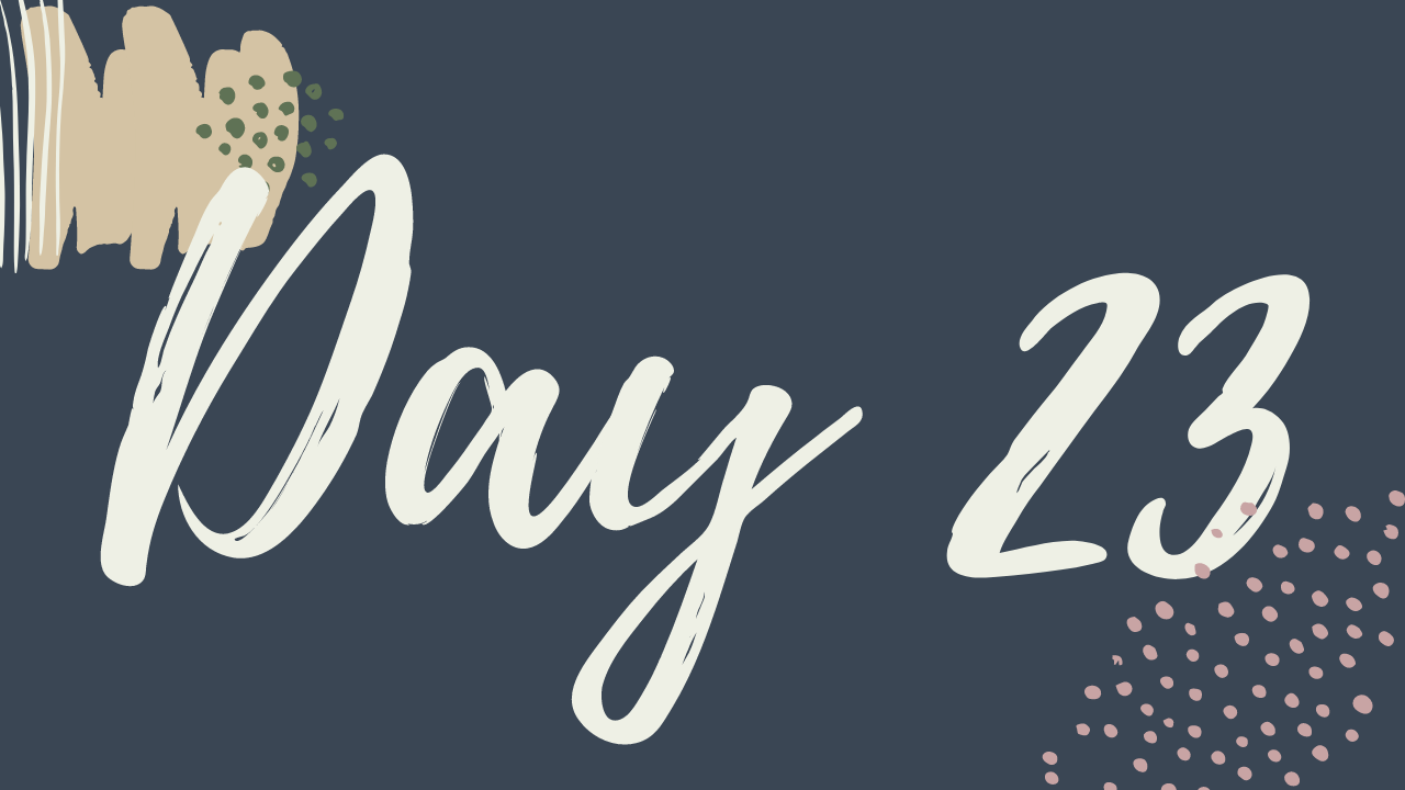 v. Day 23