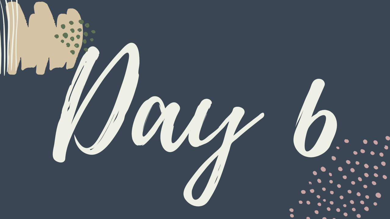 f. DAY 6
