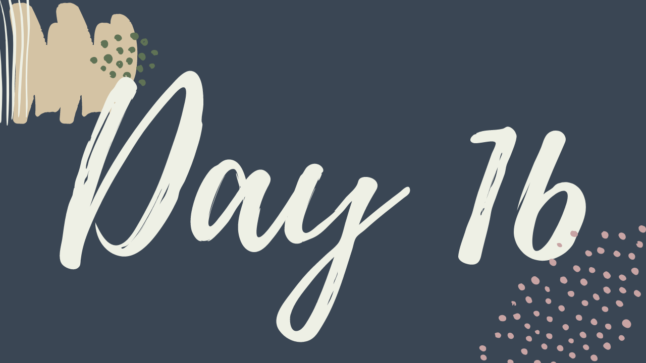 p. Day 16