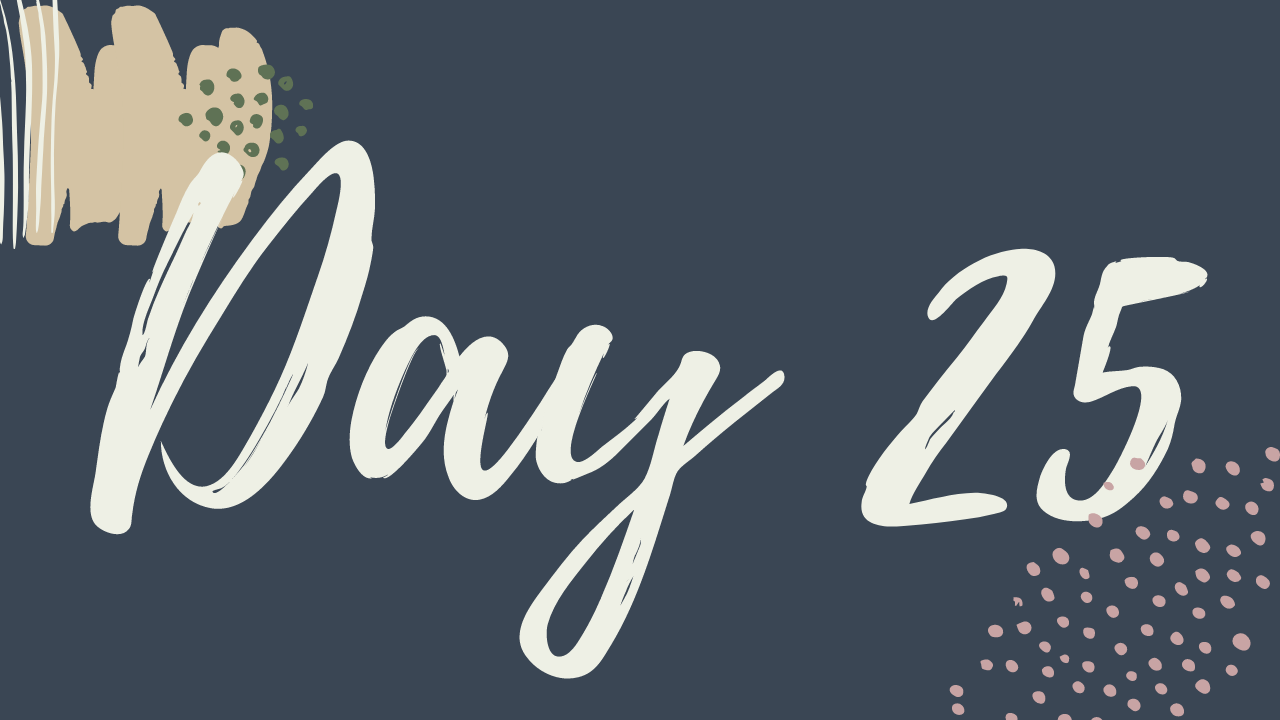 x. Day 25