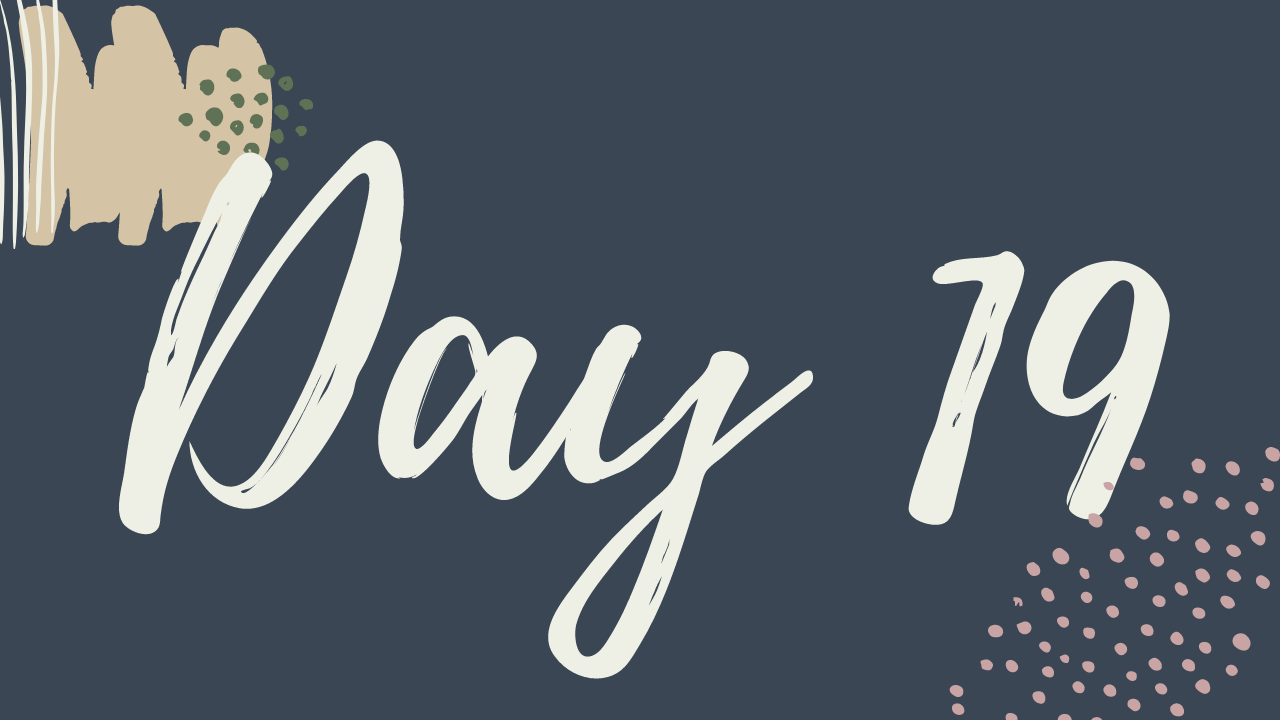 r. Day 19