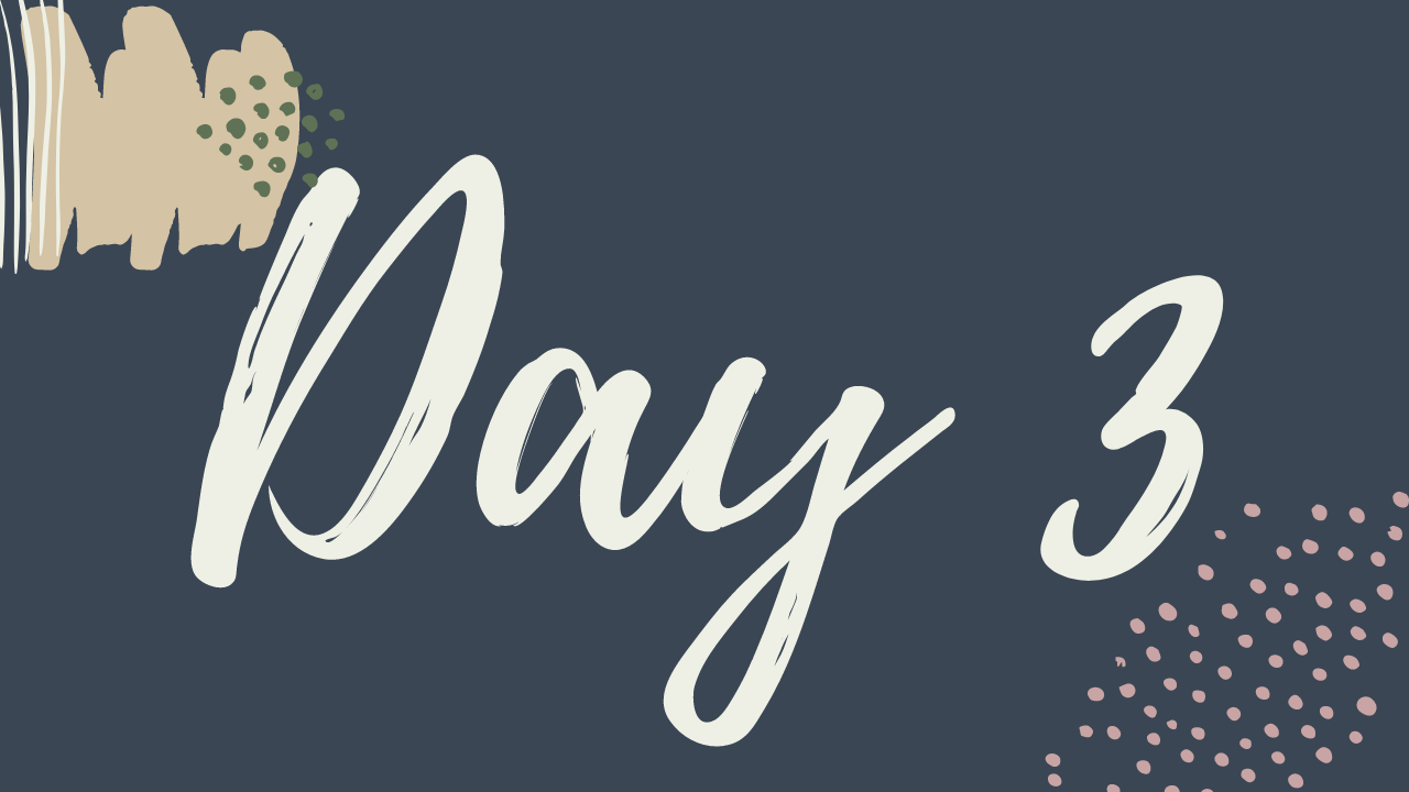 c. Day 3 (Optional)