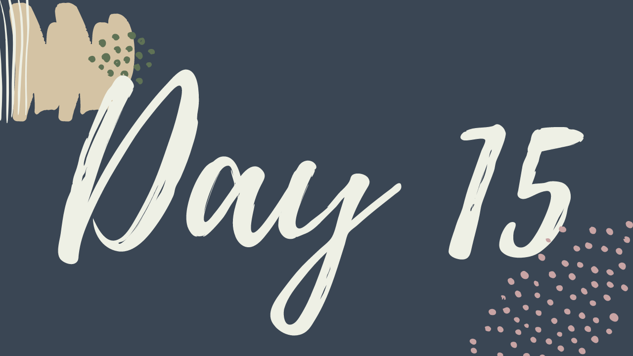 o. Day 15