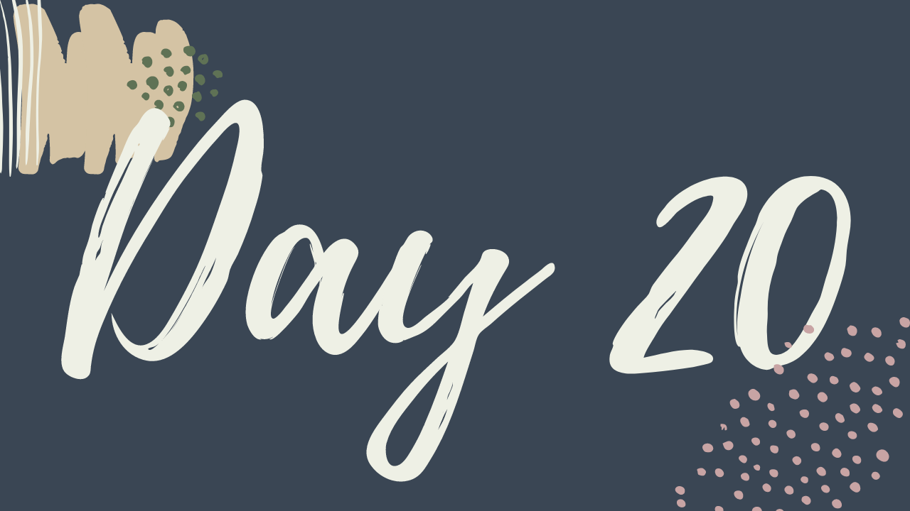 s. Day 20