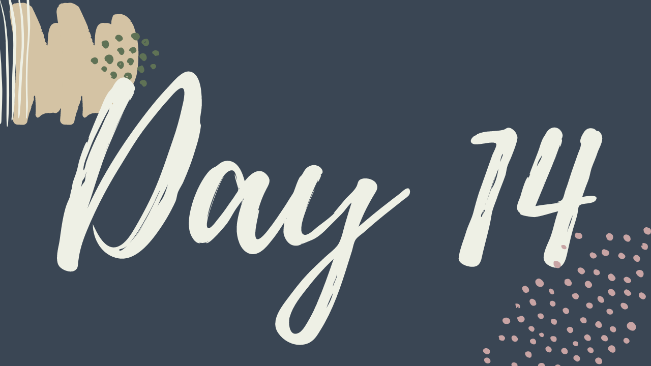 n. Day 14